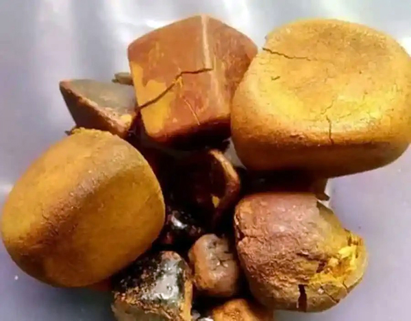 Pedra de Fel bovina para venda com avaliação por foto
